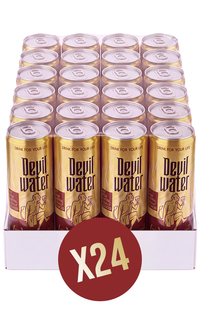 24 Latas de agua sin gas Deal in Hell